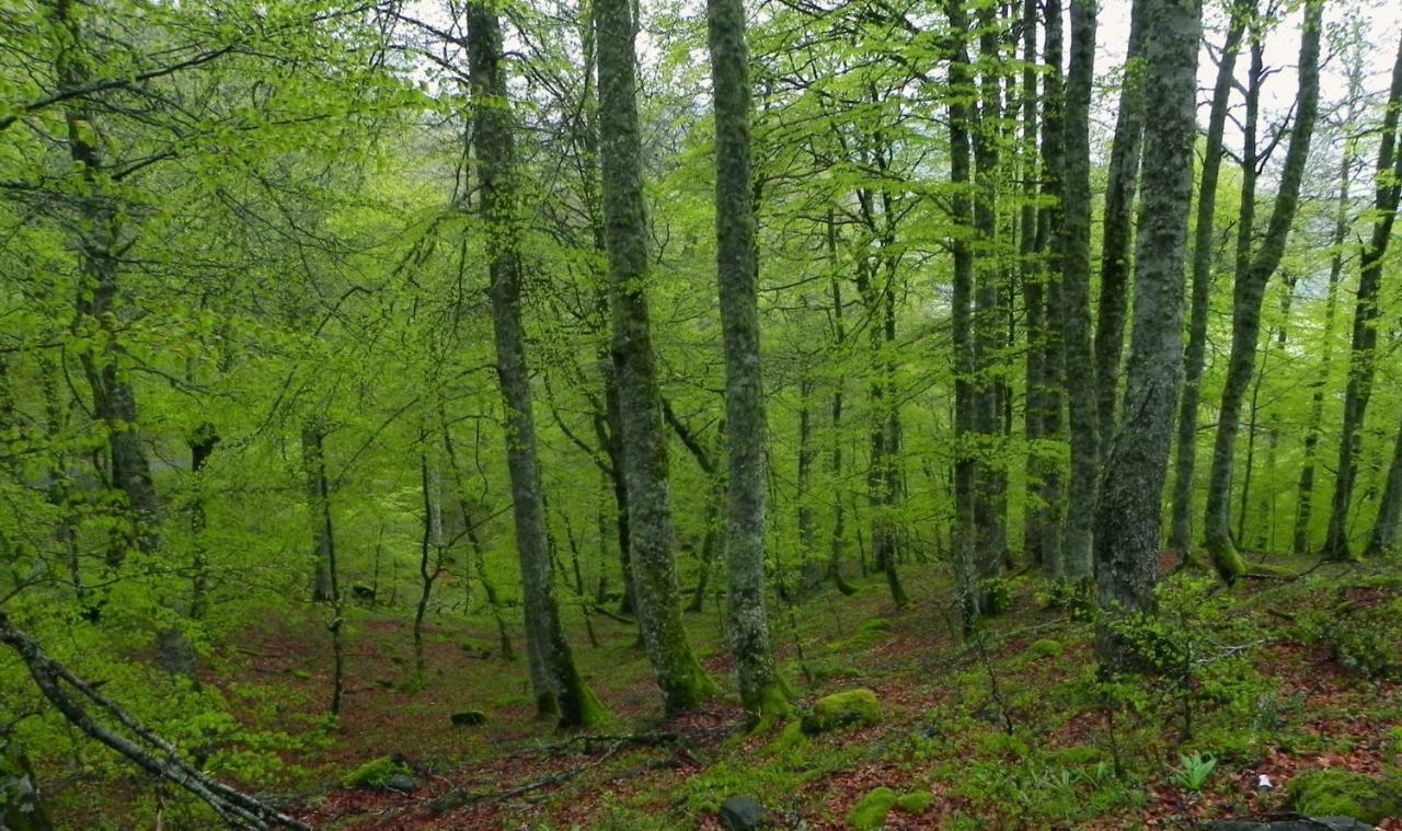 Гостьовий будинок Turismo Rural El Sidron Pilona Екстер'єр фото